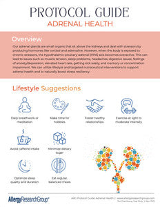 Adrenal Health Protocol Guide