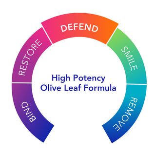 OLIVIREX HIGH-POTENCY OLIVE LEAF FORMULA