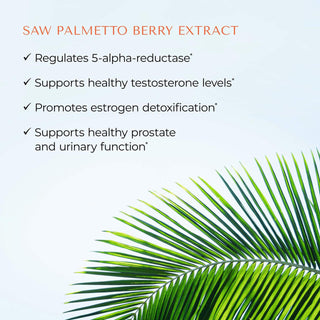 Saw Palmetto Benefits