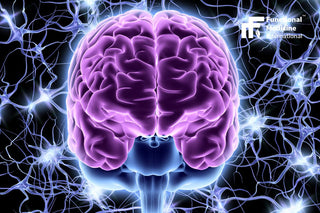 Brain Detox: Can Supplements Help Reset Your Dopamine?