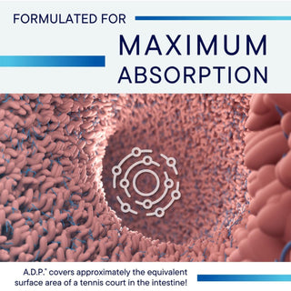ADP for max. absorption