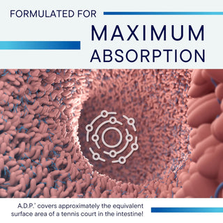 ADP for max. absorption