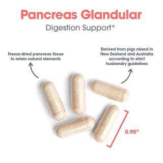 Pancreas Pork X 60 Capsules