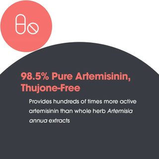 Artemisinin X 90 Vegetarian Capsules