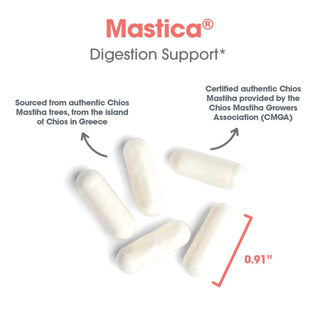 Mastica Capsules Dimension & benefits