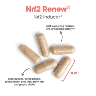 Nrf2 Renew Capsules Dimension & Benefits
