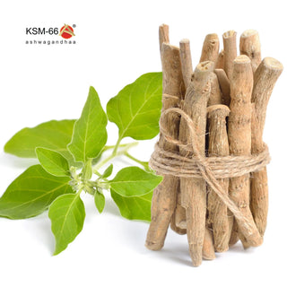 Super Botanic Ashwagandha