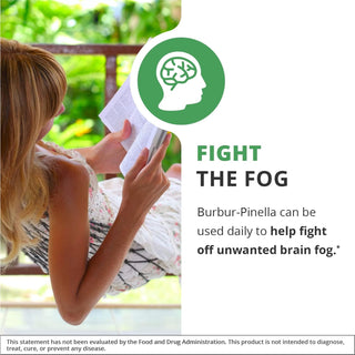 Burbur Pinella x 2 fl oz