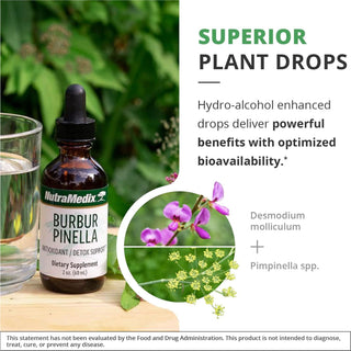 Burbur Pinella x 2 fl oz