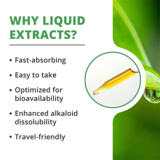 Burbur Pinella x 2 fl oz