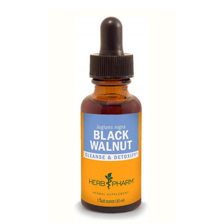 Black Walnut Liquid Extract X 30 ml