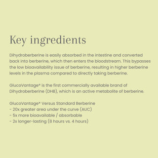 Berberine Advance Ingredients