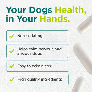 Doggie Be Calm X 60 Vegan Capsules for Dogs - Cytoplan - Non-Sedating