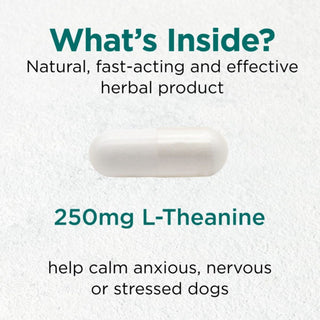 Doggie Be Calm X 60 Vegan Capsules for Dogs - Cytoplan - Non-Sedating