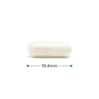 Doggie Dophilus X 30 Capsules - Cytoplan - Dog Probiotic
