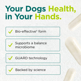 Doggie Dophilus X 30 Capsules - Cytoplan - Dog Probiotic