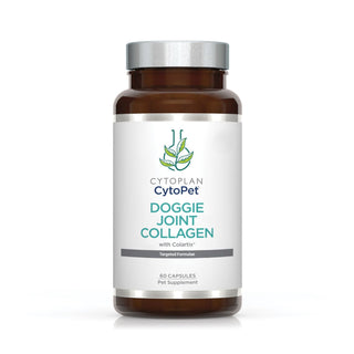 Doggie Joint Collagen X 60 Capsules for Dogs - Cytoplan