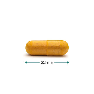 Doggie Joint Support X 60 Capsules - Cytoplan - Dog Supplement with Turmeric