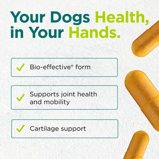 Doggie Joint Support X 60 Capsules - Cytoplan - Dog Supplement with Turmeric