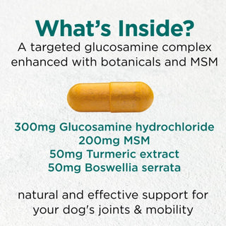 Doggie Joint Support X 60 Capsules - Cytoplan - Dog Supplement with Turmeric