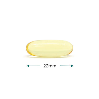 Single yellow CytoPet Doggie Omega 3 softgel capsule measuring 22mm in length.