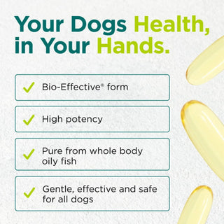 CytoPet Doggie Omega 3 features including high potency and pure whole body oily fish.