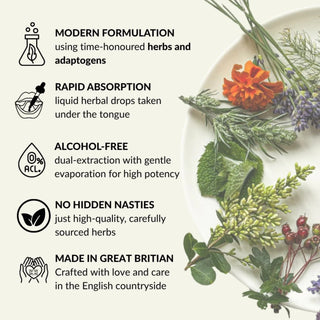 CALM Herbal Tincture Benefits