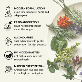 ENERGY Herbal Tincture Benefits