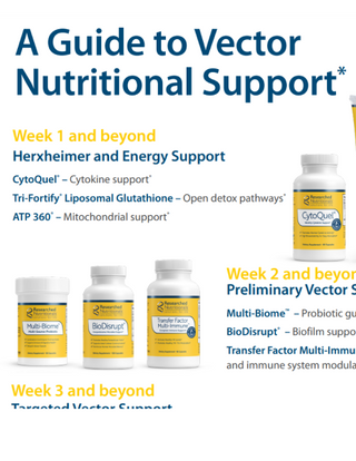 Immune & Vector Support Protocol