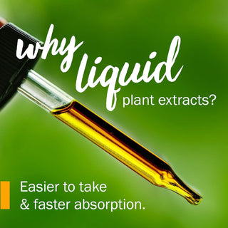 Goldenseal Liquid Extract x 30 ml