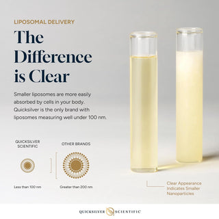 Two liposomal containers with text explaining the difference in size between Quicksilver Scientific liposomes and those of other brands.
