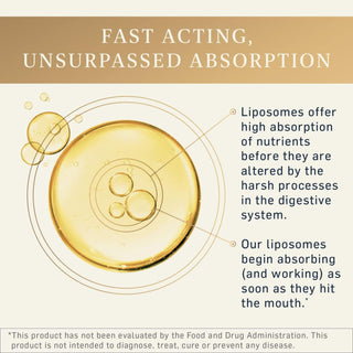 Fast absorbing formula