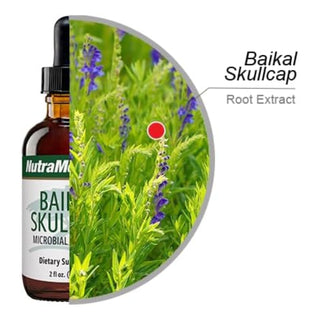 Baikal Skullcap, Microbial Support x 60 ml
