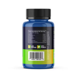 BioAbsorb x 60 Vegetable Capsules