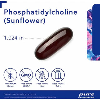Phosphatidylcholine X 90 Softgels