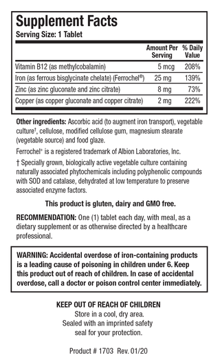 Fe-Zyme X 100 Tablets