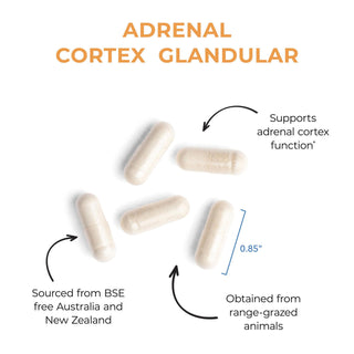 Adrenal Cortex X 100 Vegicaps
