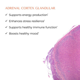 Adrenal Cortex X 100 Vegicaps