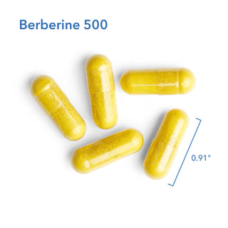 Berberine 500 X 90 Vegetarian Capsules