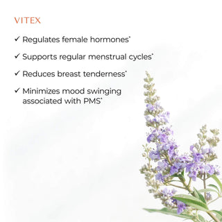 DIM Vitex X 120 Vegetarian Capsules