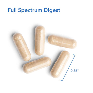 Full Spectrum Digest X 90 Vegetarian Capsules