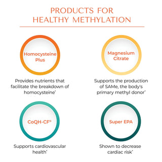 Homocysteine Plus X 90 Vegetarian Capsules