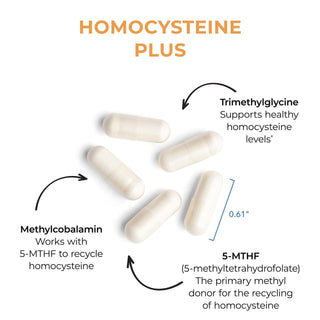 Homocysteine Plus X 90 Vegetarian Capsules