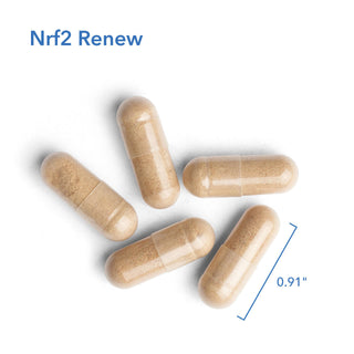 Nrf2 Renew X 120 Vegetarian Capsules