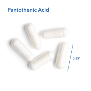 Pantothenic Acid X 90 Vegetarian Capsules