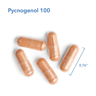 Pycnogenol 100 X 30 Vegetarian Capsules